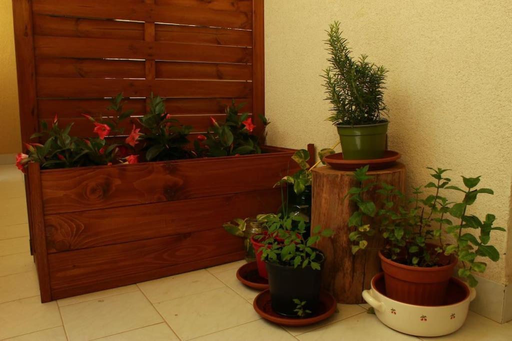 Casa Bruno Appartamento *